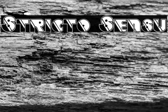 Stricto Sensu フォント examples