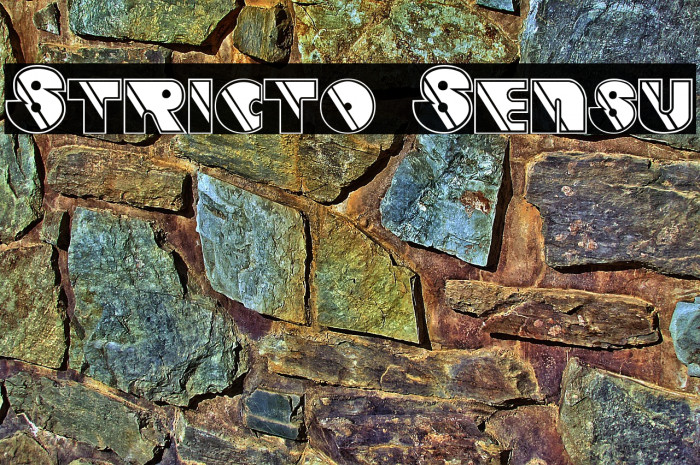 Stricto Sensu Example 3