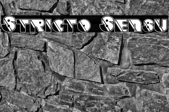 Stricto Sensu フォント examples
