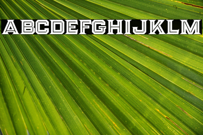 Strife Inline Example 3