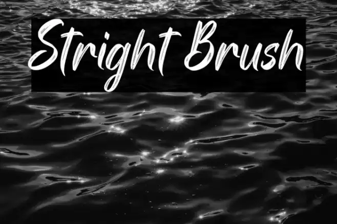 Stright Brush Font examples