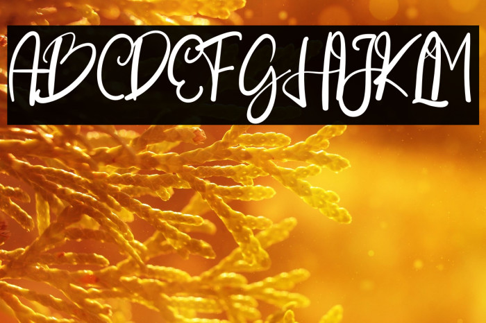 Stright Light Example 1