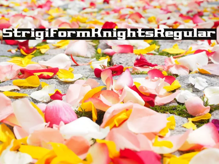 Strigiform Knights Regular Example 3