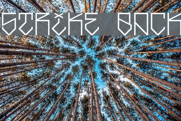 Strike Back Font examples
