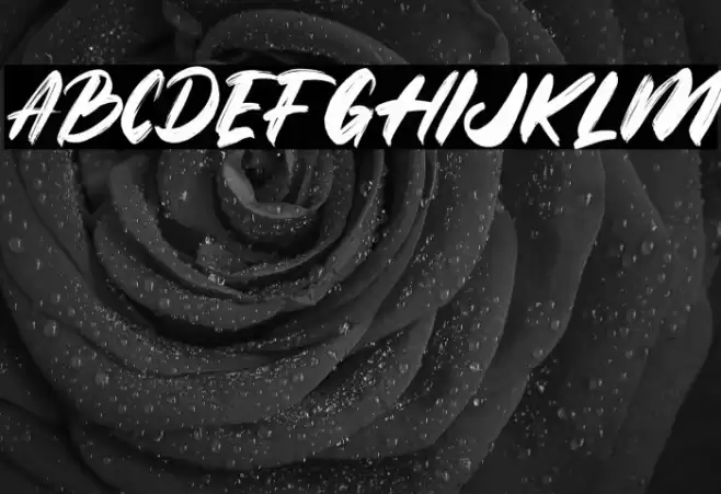 Strike Brush Font examples