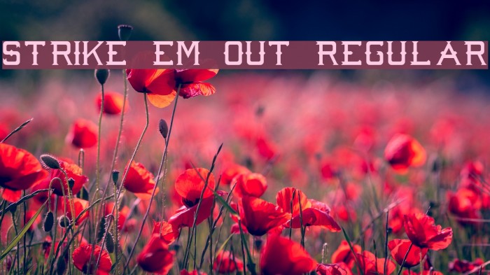Strike 'Em Out Regular Font examples