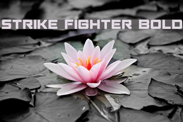 Strike Fighter Bold Schriftart examples