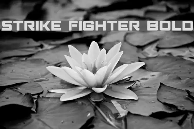 Strike Fighter Bold Font examples