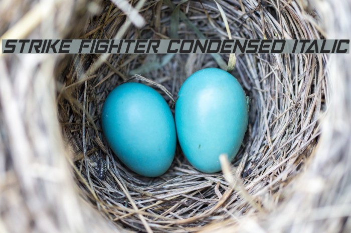 Strike Fighter Condensed Italic Font examples