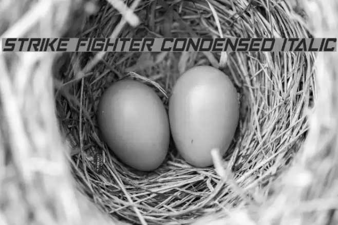 Strike Fighter Condensed Italic Schriftart examples