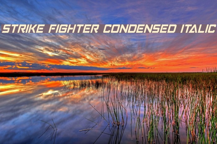 Strike Fighter Condensed Italic Font examples