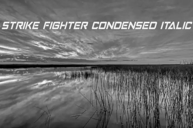 Strike Fighter Condensed Italic Schriftart examples