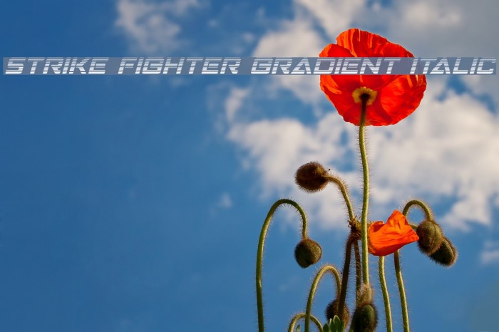 Strike Fighter Gradient Italic Font examples