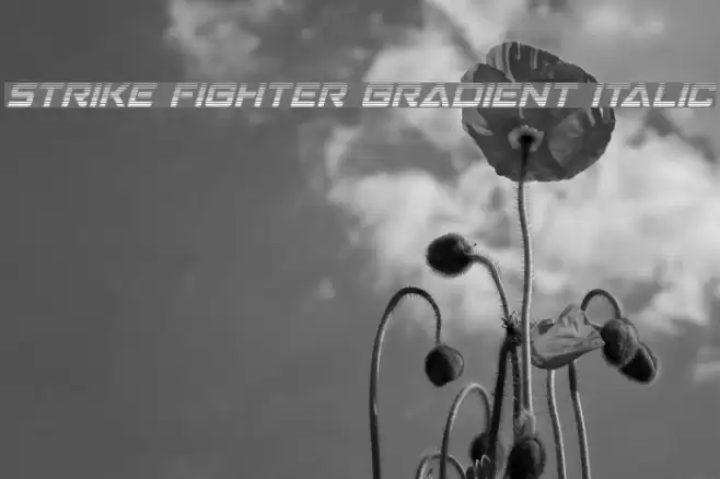 Strike Fighter Gradient Italic Font examples