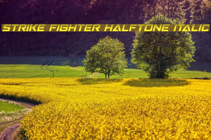 Strike Fighter Halftone Italic لخطوط تنزيل examples
