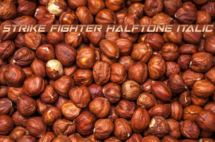 Strike Fighter Halftone Italic لخطوط تنزيل examples