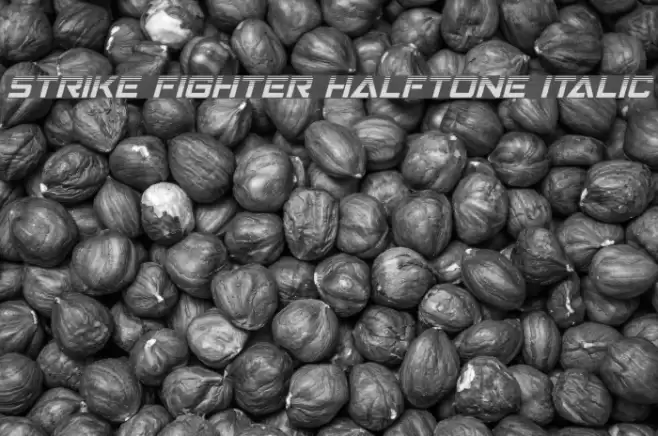 Strike Fighter Halftone Italic Font examples