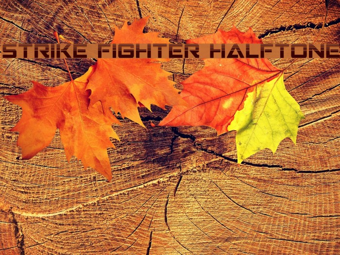 Strike Fighter Halftone Font examples