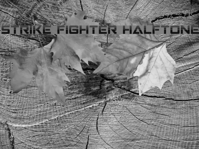 Strike Fighter Halftone Fonte examples