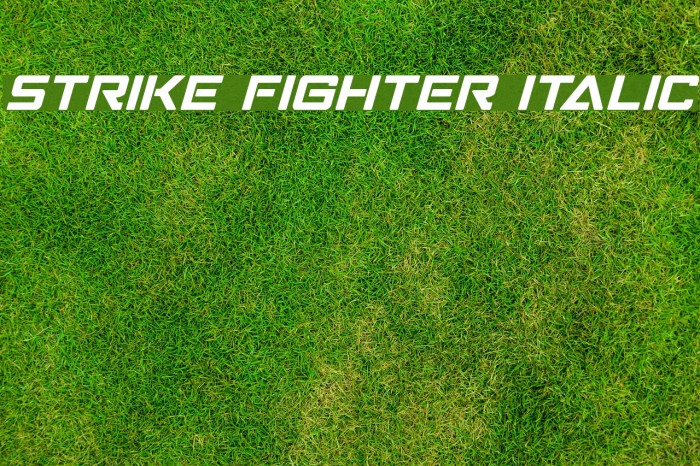 Strike Fighter Italic Font examples