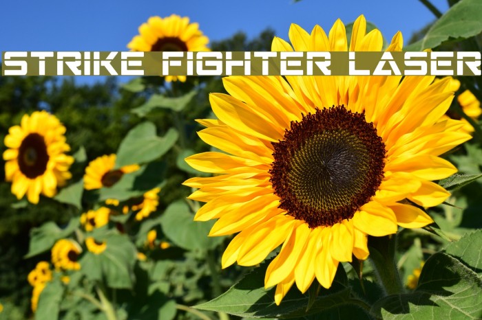 Strike Fighter Laser Font examples