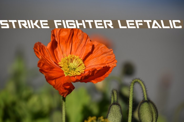 Strike Fighter Leftalic Font examples