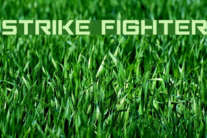 Strike Fighter Fonte examples