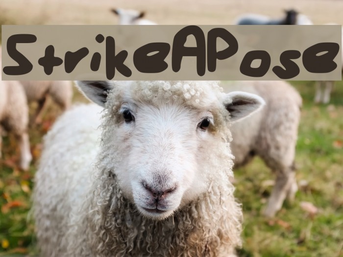 StrikeAPose Font examples