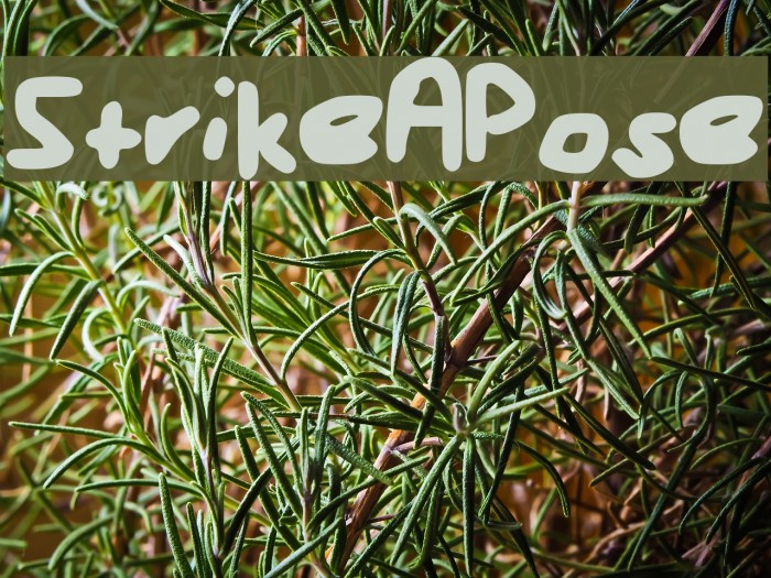 StrikeAPose Font examples