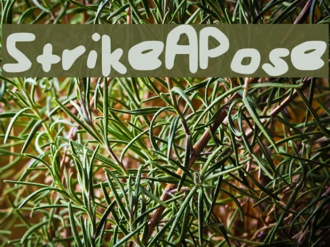 StrikeAPose Example 3