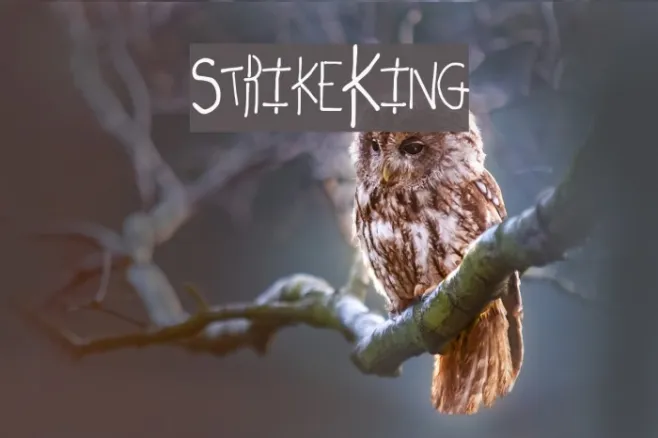 StrikeKing Example 1