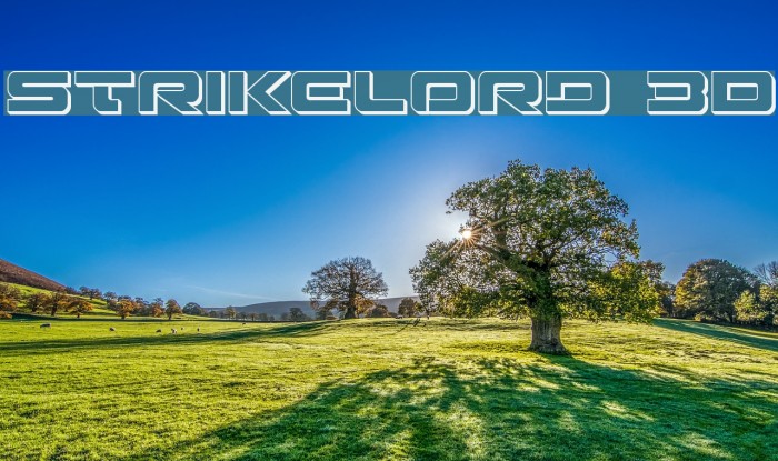 Strikelord 3D Font examples