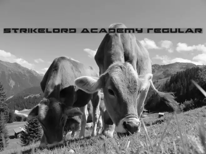 Strikelord Academy Regular Font examples