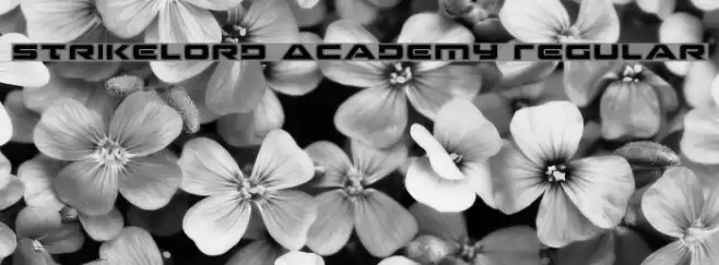 Strikelord Academy Regular Font examples