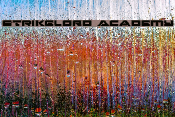Strikelord Academy Example 1