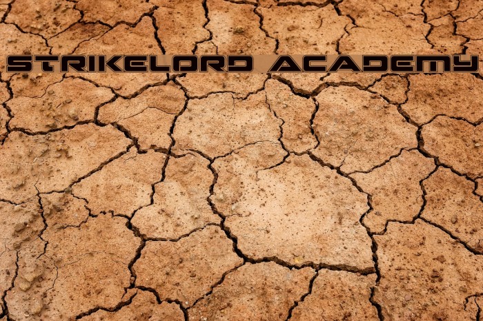 Strikelord Academy Example 3