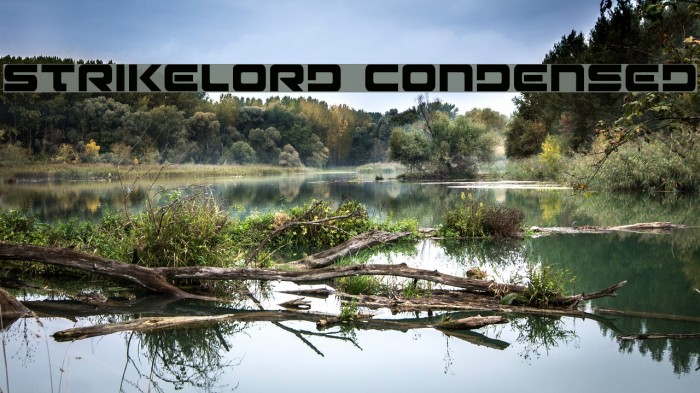 Strikelord Condensed Font examples