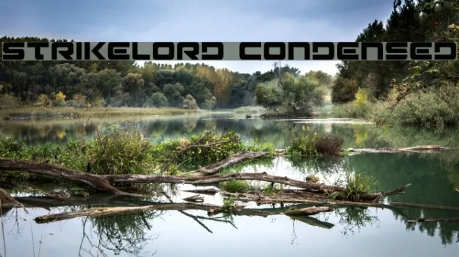 Strikelord Condensed Example 3