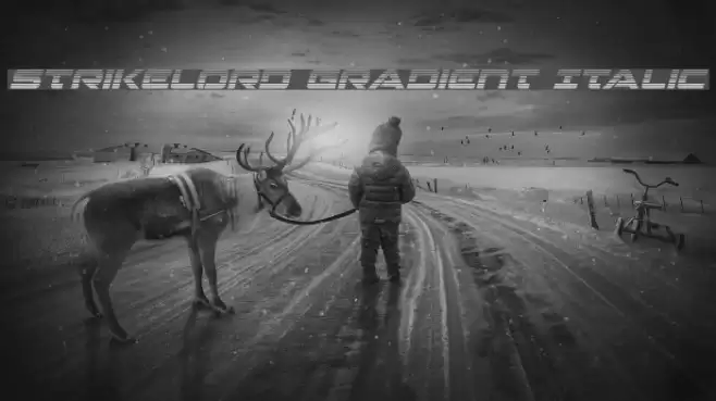 Strikelord Gradient Italic Font examples