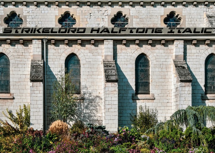 Strikelord Halftone Italic Example 2