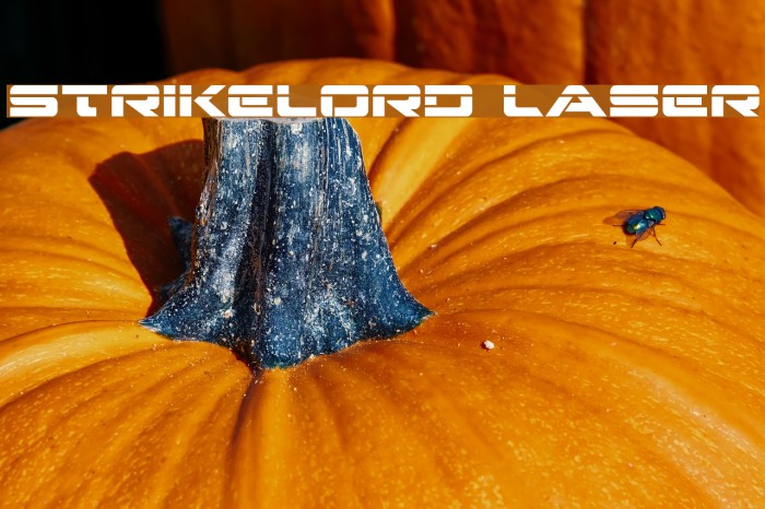 Strikelord Laser Font examples