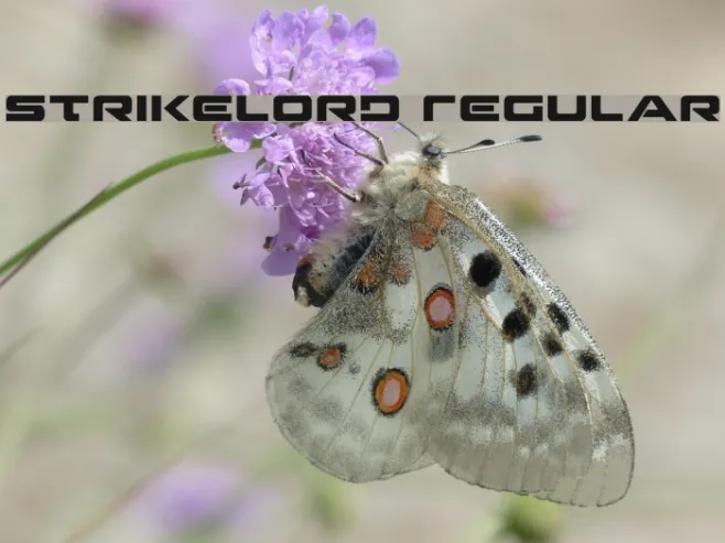 Strikelord Regular Example 2