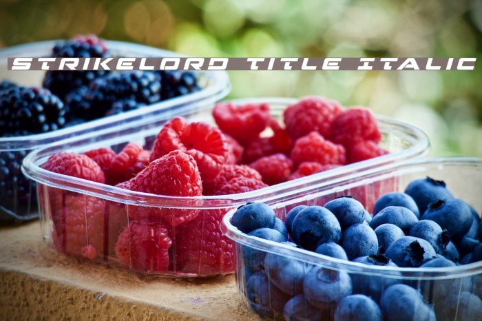 Strikelord Title Italic Font examples
