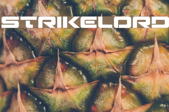 Strikelord Example 1