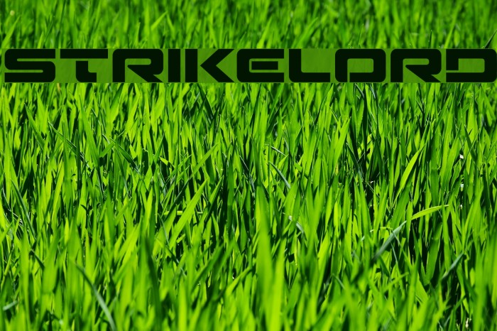 Strikelord Example 3