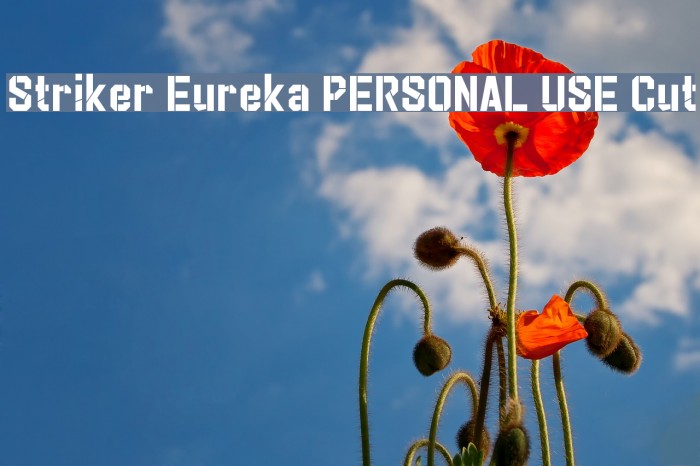 Striker Eureka PERSONAL USE Cut Font examples