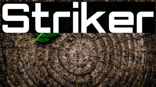 Striker Example 3