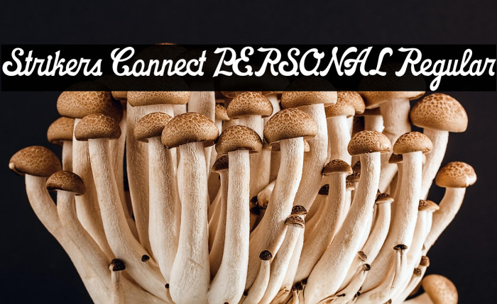 Strikers Connect PERSONAL Regular Example 1