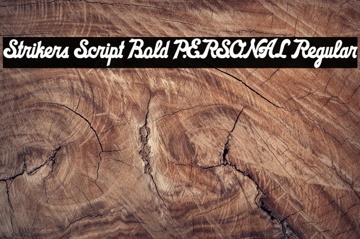 Strikers Script Bold PERSONAL Regular Example 1