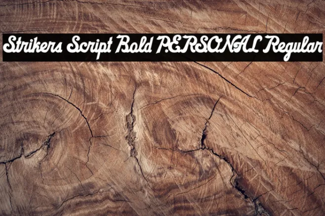 Strikers Script Bold PERSONAL Regular Example 1